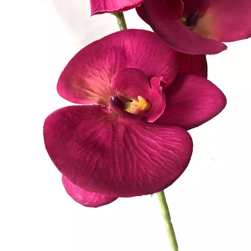 white silk orchid for decoration 
