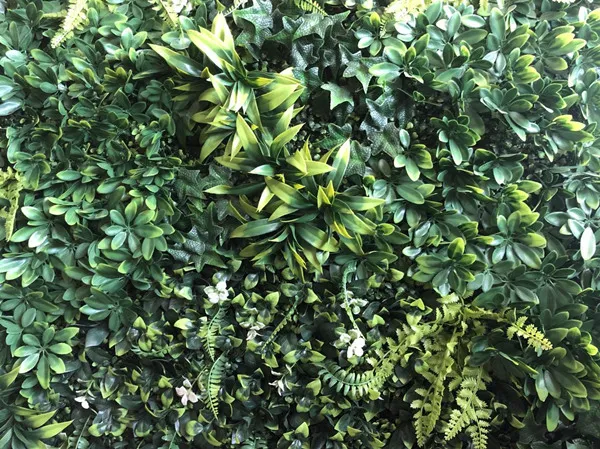 Artificial Grass Wall