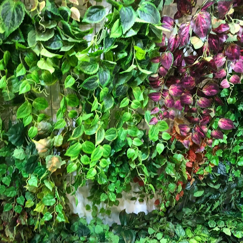 Lifelike Wall Hanging Artificial Plants for wholesale