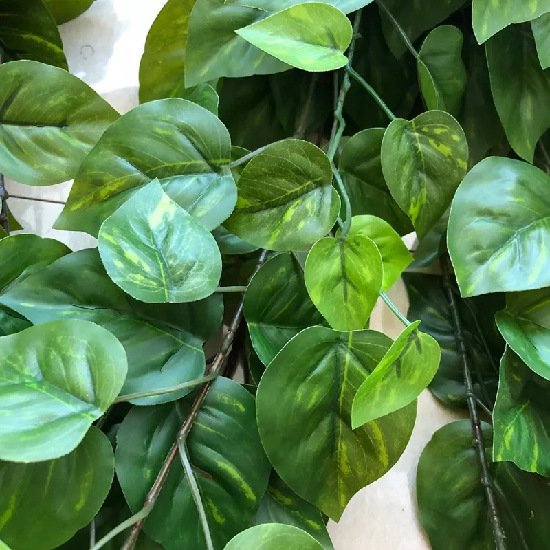 Lifelike Wall Hanging Artificial Plants for wholesale