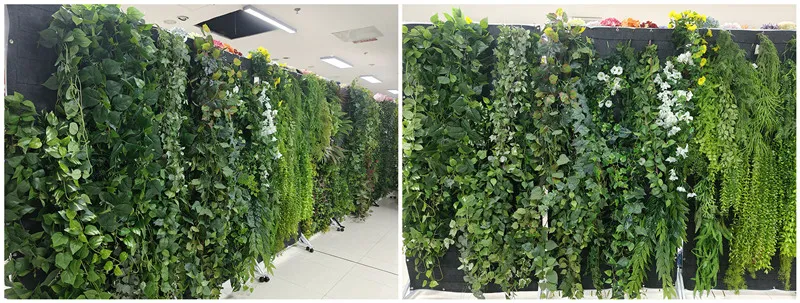 Removable wall plants on tiled kitchen wall