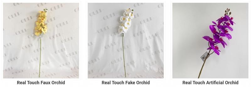 Real touch orchid