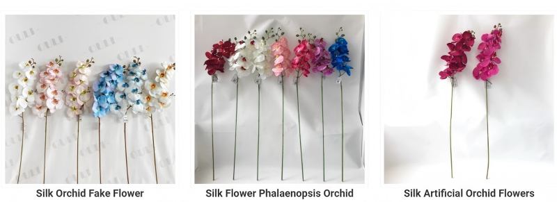 Silk orchid
