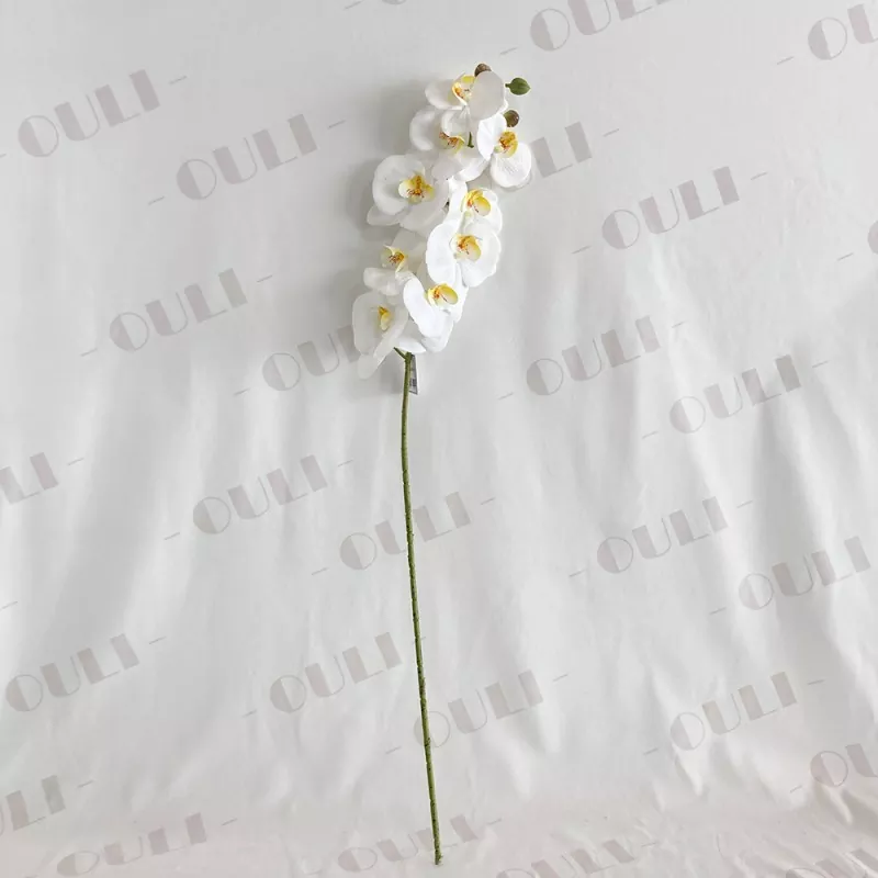 Real Touch Fake Orchid